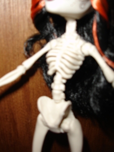 doyoulikethistoo wordpress com Monster High Skelita Calaveras review torso ribs
